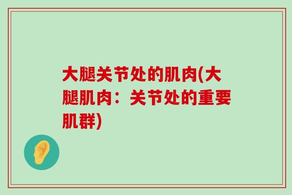 大腿关节处的肌肉(大腿肌肉:关节处的重要肌群) 大腿关节处的肌肉(大腿肌肉:关节处的重要肌群)