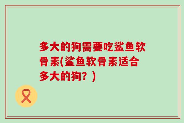 多大的狗需要吃鲨鱼软骨素(鲨鱼软骨素适合多大的狗？)