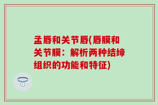 孟唇和关节唇(唇膜和关节膜:解析两种结缔组织的功能和特征) 孟唇和关节唇(唇膜和关节膜:解析两种结缔组织的功能和特征)