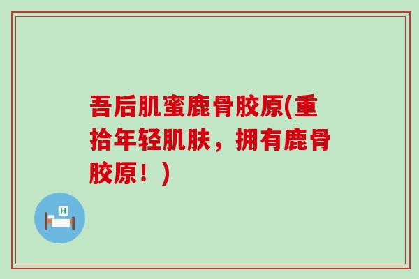 吾后肌蜜鹿骨胶原(重拾年轻,拥有鹿骨胶原!) 吾后肌蜜鹿骨胶原(重拾年轻,拥有鹿骨胶原!)