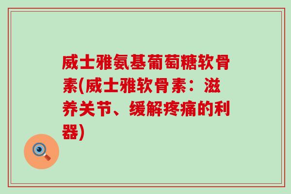 威士雅氨基葡萄糖软骨素(威士雅软骨素：滋养关节、缓解的利器)