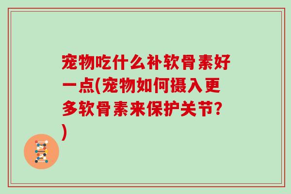 宠物吃什么补软骨素好一点(宠物如何摄入更多软骨素来保护关节？)