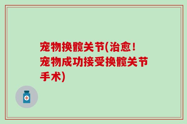 宠物换髋关节(愈!宠物成功接受换髋关节手术) 宠物换髋关节(愈!宠物成功接受换髋关节手术)