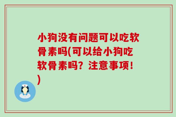 小狗没有问题可以吃软骨素吗(可以给小狗吃软骨素吗?注意事项!) 小狗没有问题可以吃软骨素吗(可以给小狗吃软骨素吗?注意事项!)