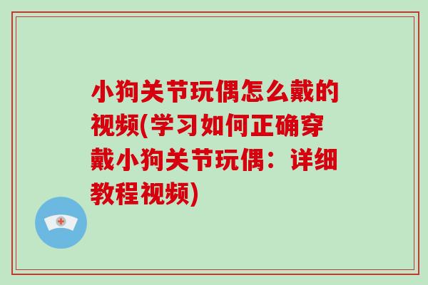 小狗关节玩偶怎么戴的视频(学习如何正确穿戴小狗关节玩偶:详细教程视频) 小狗关节玩偶怎么戴的视频(学习如何正确穿戴小狗关节玩偶:详细教程视频)