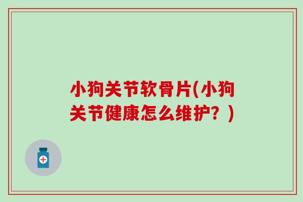 小狗关节软骨片(小狗关节健康怎么维护？)