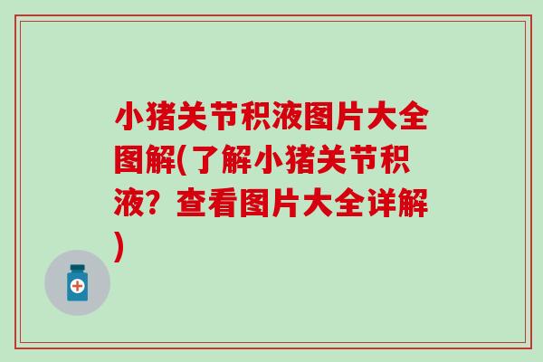小猪关节积液图片大全图解(了解小猪关节积液?查看图片大全详解) 小猪关节积液图片大全图解(了解小猪关节积液?查看图片大全详解)