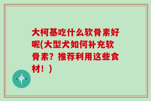 大柯基吃什么软骨素好呢(大型犬如何补充软骨素?推荐利用这些食材!) 大柯基吃什么软骨素好呢(大型犬如何补充软骨素?推荐利用这些食材!)