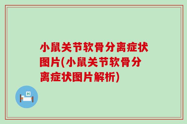 小鼠关节软骨分离症状图片(小鼠关节软骨分离症状图片解析)