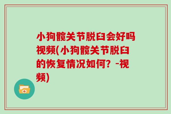 小狗髋关节脱臼会好吗视频(小狗髋关节脱臼的恢复情况如何?-视频) 小狗髋关节脱臼会好吗视频(小狗髋关节脱臼的恢复情况如何?-视频)
