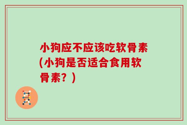 小狗应不应该吃软骨素(小狗是否适合食用软骨素?) 小狗应不应该吃软骨素(小狗是否适合食用软骨素?)