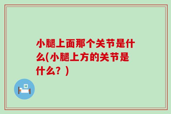 小腿上面那个关节是什么(小腿上方的关节是什么？)