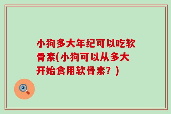 小狗多大年纪可以吃软骨素(小狗可以从多大开始食用软骨素?) 小狗多大年纪可以吃软骨素(小狗可以从多大开始食用软骨素?)