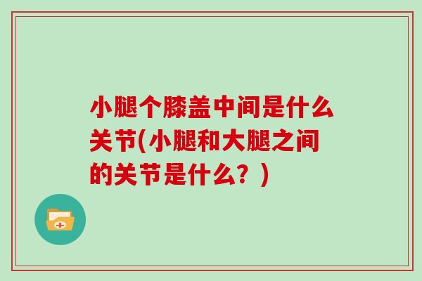 小腿个膝盖中间是什么关节(小腿和大腿之间的关节是什么？)