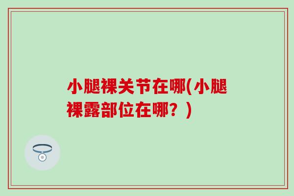 小腿裸关节在哪(小腿裸露部位在哪?) 小腿裸关节在哪(小腿裸露部位在哪?)