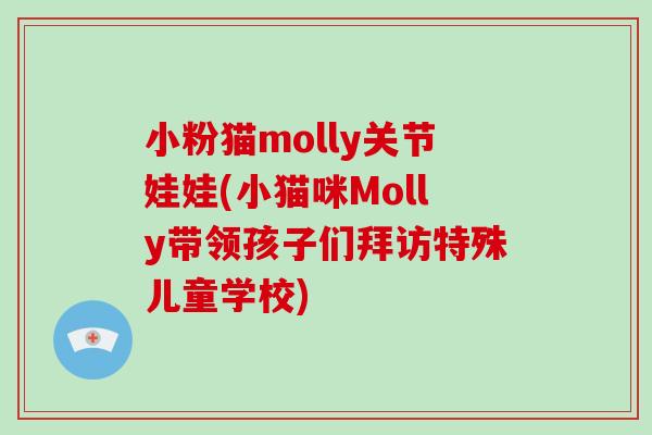 小粉猫molly关节娃娃(小猫咪Molly带领孩子们拜访特殊儿童学校)