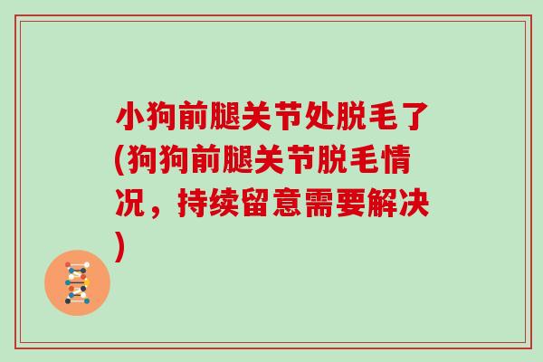 小狗前腿关节处脱毛了(狗狗前腿关节脱毛情况,持续留意需要解决) 小狗前腿关节处脱毛了(狗狗前腿关节脱毛情况,持续留意需要解决)