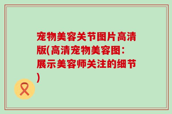 宠物美容关节图片高清版(高清宠物美容图：展示美容师关注的细节)