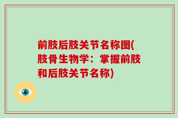 前肢后肢关节名称图(肢骨生物学:掌握前肢和后肢关节名称) 前肢后肢关节名称图(肢骨生物学:掌握前肢和后肢关节名称)