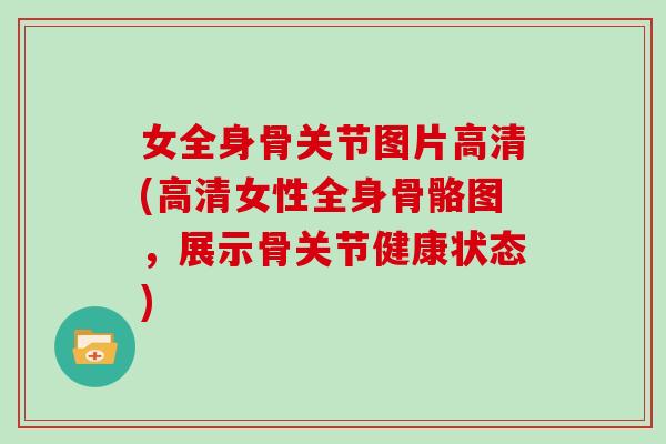 女全身骨关节图片高清(高清女性全身骨骼图，展示骨关节健康状态)