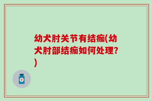 幼犬肘关节有结痂(幼犬肘部结痂如何处理?) 幼犬肘关节有结痂(幼犬肘部结痂如何处理?)