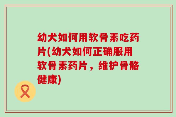幼犬如何用软骨素吃药片(幼犬如何正确服用软骨素药片,维护骨骼健康) 幼犬如何用软骨素吃药片(幼犬如何正确服用软骨素药片,维护骨骼健康)
