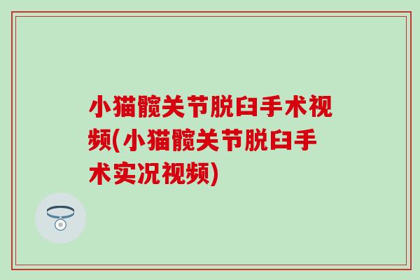 小猫髋关节脱臼手术视频(小猫髋关节脱臼手术实况视频) 小猫髋关节脱臼手术视频(小猫髋关节脱臼手术实况视频)