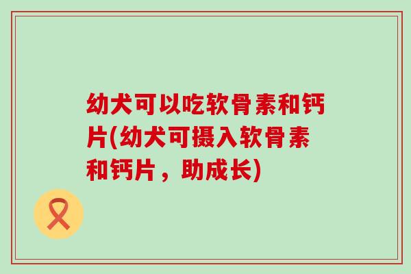 幼犬可以吃软骨素和钙片(幼犬可摄入软骨素和钙片,助成长) 幼犬可以吃软骨素和钙片(幼犬可摄入软骨素和钙片,助成长)