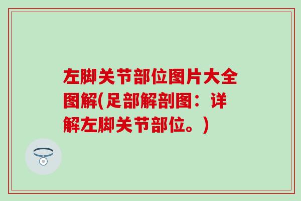左脚关节部位图片大全图解(足部解剖图：详解左脚关节部位。)