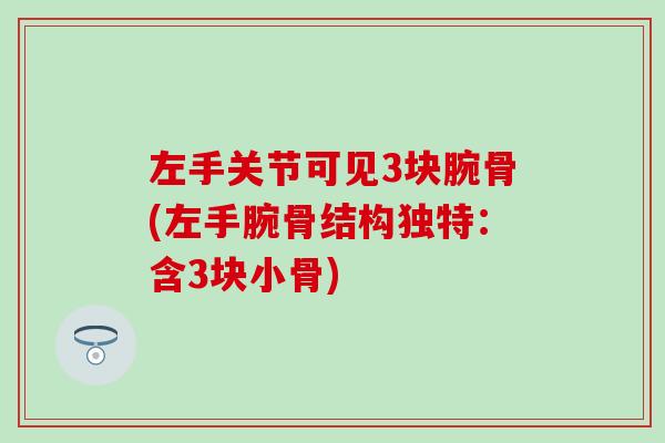 左手关节可见3块腕骨(左手腕骨结构独特:含3块小骨) 左手关节可见3块腕骨(左手腕骨结构独特:含3块小骨)