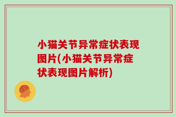 小猫关节异常症状表现图片(小猫关节异常症状表现图片解析) 小猫关节异常症状表现图片(小猫关节异常症状表现图片解析)