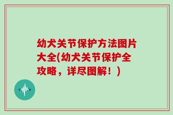 幼犬关节保护方法图片大全(幼犬关节保护全攻略,详尽图解!) 幼犬关节保护方法图片大全(幼犬关节保护全攻略,详尽图解!)