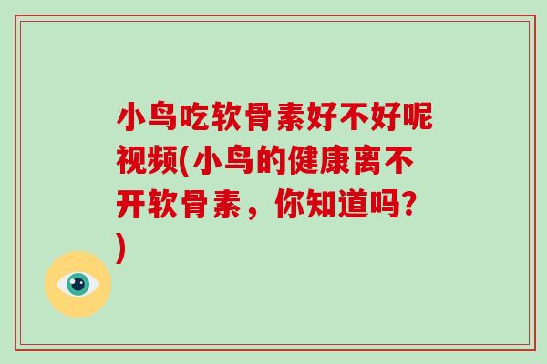 小鸟吃软骨素好不好呢视频(小鸟的健康离不开软骨素,你知道吗?) 小鸟吃软骨素好不好呢视频(小鸟的健康离不开软骨素,你知道吗?)
