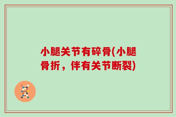 小腿关节有碎骨(小腿，伴有关节断裂)