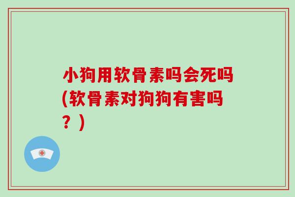 小狗用软骨素吗会死吗(软骨素对狗狗有害吗?) 小狗用软骨素吗会死吗(软骨素对狗狗有害吗?)