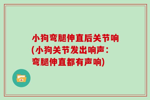 小狗弯腿伸直后关节响(小狗关节发出响声:弯腿伸直都有声响) 小狗弯腿伸直后关节响(小狗关节发出响声:弯腿伸直都有声响)
