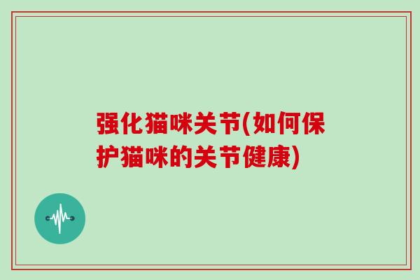 强化猫咪关节(如何保护猫咪的关节健康)