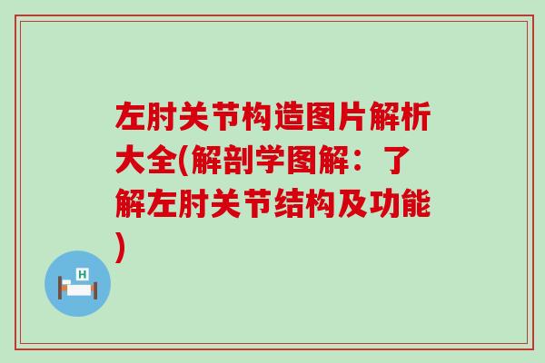 左肘关节构造图片解析大全(解剖学图解：了解左肘关节结构及功能)