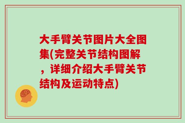 大手臂关节图片大全图集(完整关节结构图解,详细介绍大手臂关节结构及运动特点) 大手臂关节图片大全图集(完整关节结构图解,详细介绍大手臂关节结构及运动特点)