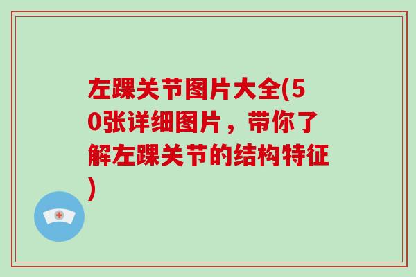 左踝关节图片大全(50张详细图片,带你了解左踝关节的结构特征) 左踝关节图片大全(50张详细图片,带你了解左踝关节的结构特征)