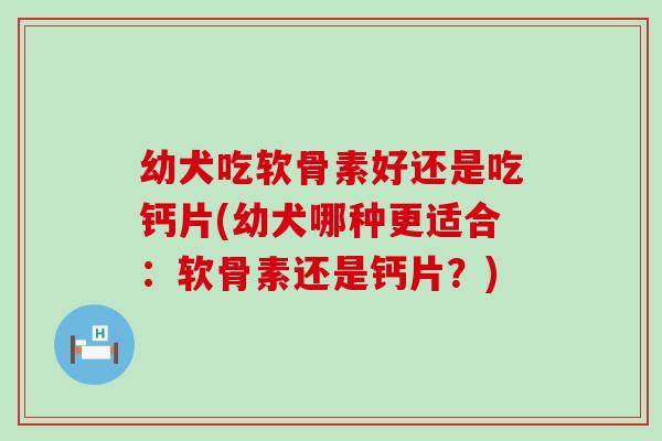 幼犬吃软骨素好还是吃钙片(幼犬哪种更适合：软骨素还是钙片？)