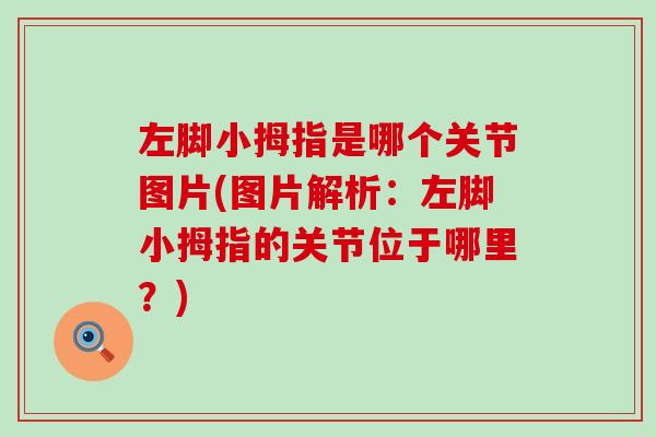 左脚小拇指是哪个关节图片(图片解析：左脚小拇指的关节位于哪里？)