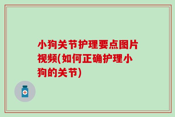 小狗关节护理要点图片视频(如何正确护理小狗的关节) 小狗关节护理要点图片视频(如何正确护理小狗的关节)