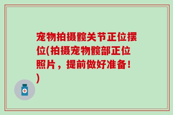 宠物拍摄髋关节正位摆位(拍摄宠物髋部正位照片,提前做好准备!) 宠物拍摄髋关节正位摆位(拍摄宠物髋部正位照片,提前做好准备!)