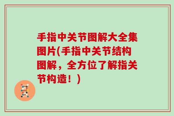 手指中关节图解大全集图片(手指中关节结构图解，全方位了解指关节构造！)