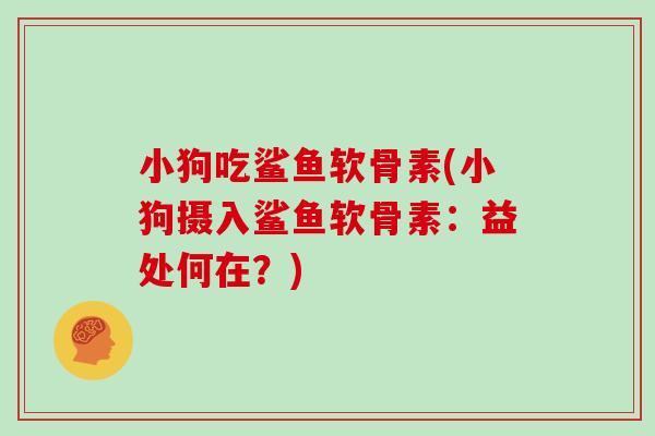 小狗吃鲨鱼软骨素(小狗摄入鲨鱼软骨素：益处何在？)