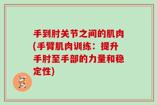 手到肘关节之间的肌肉(手臂肌肉训练:提升手肘至手部的力量和稳定性) 手到肘关节之间的肌肉(手臂肌肉训练:提升手肘至手部的力量和稳定性)