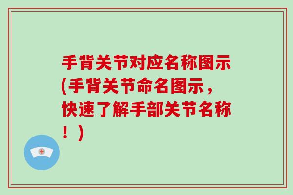 手背关节对应名称图示(手背关节命名图示,快速了解手部关节名称!) 手背关节对应名称图示(手背关节命名图示,快速了解手部关节名称!)