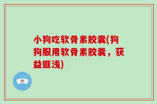小狗吃软骨素胶囊(狗狗服用软骨素胶囊,获益匪浅) 小狗吃软骨素胶囊(狗狗服用软骨素胶囊,获益匪浅)