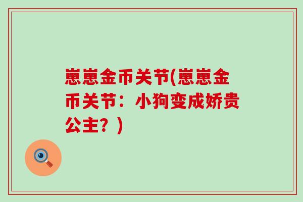 崽崽金币关节(崽崽金币关节:小狗变成娇贵公主?) 崽崽金币关节(崽崽金币关节:小狗变成娇贵公主?)